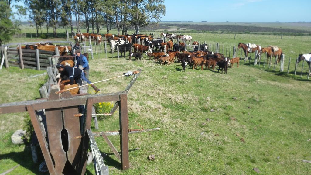 Estancia Turistica La Amorosa Тринидад Номер фото
