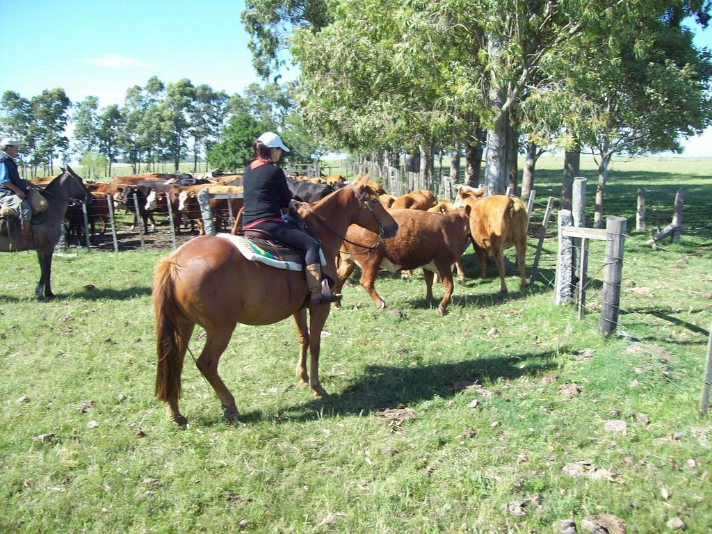 Estancia Turistica La Amorosa Тринидад Номер фото