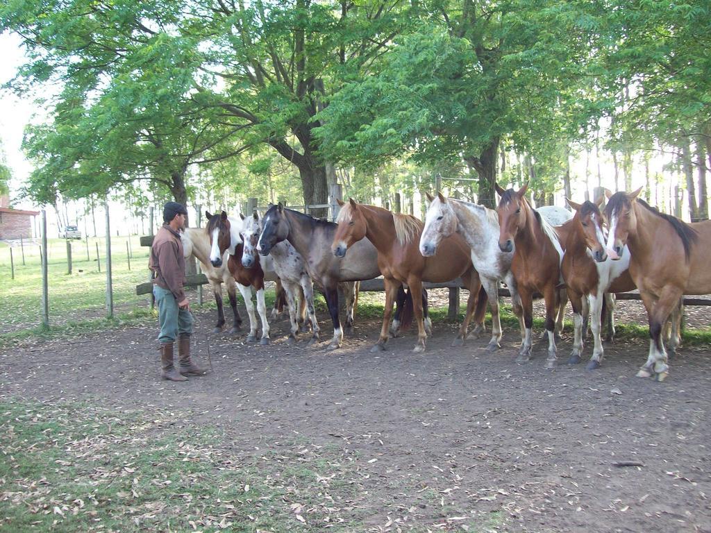 Estancia Turistica La Amorosa Тринидад Номер фото